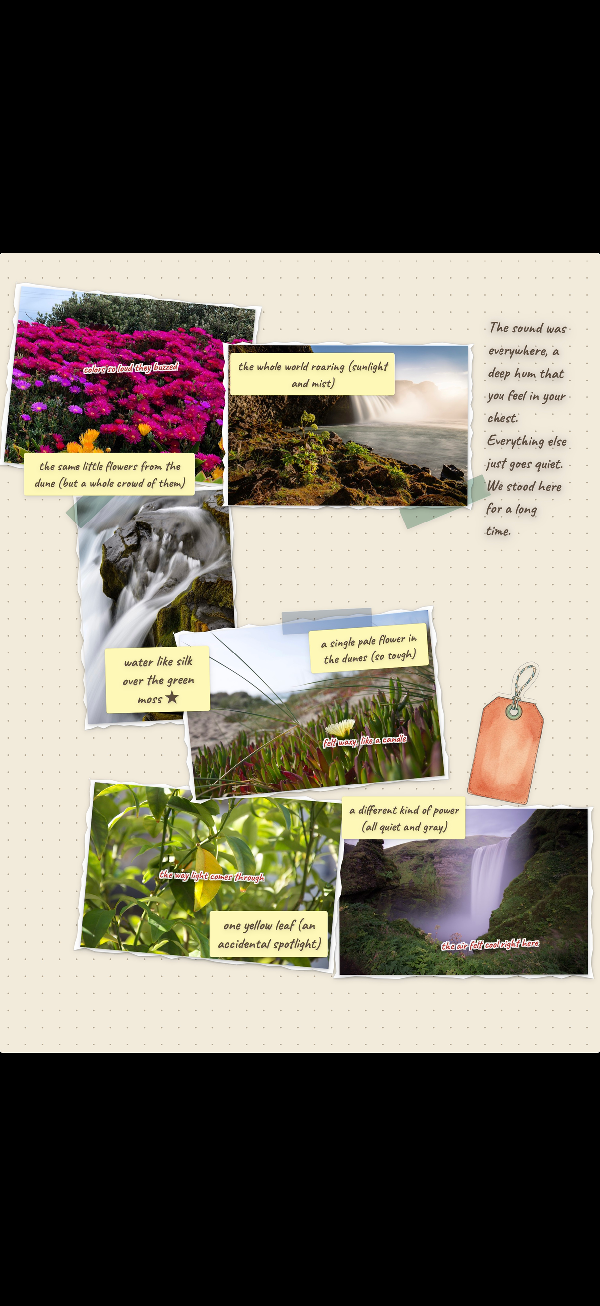 Full journal page with nature photos, handwritten captions, and scrapbook decorations