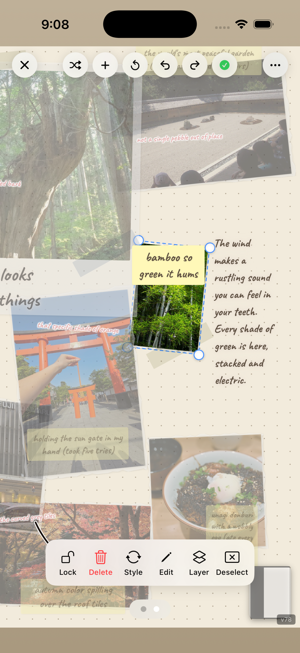 Tap to focus mode highlighting a selected photo